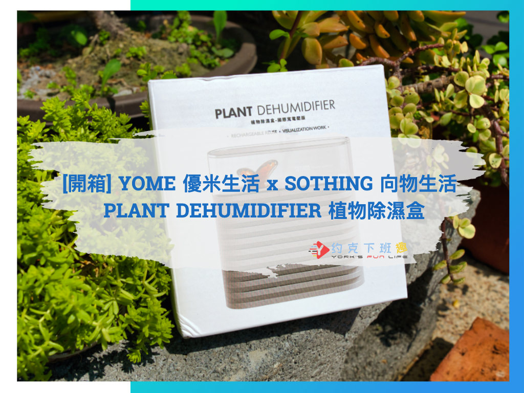 Read more about the article [開箱] YOME 優米生活 x SOTHING 向物生活 Plant Dehumidifier 植物除濕盒